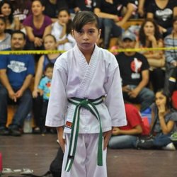 Budo Zone