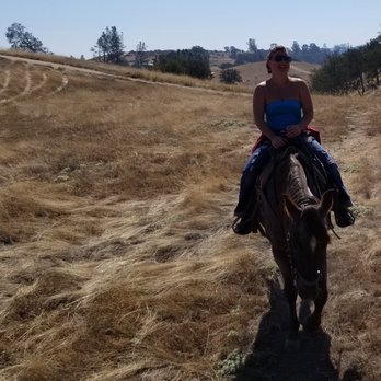 Central Coast Trailrides - Horseback Riding Near Me
