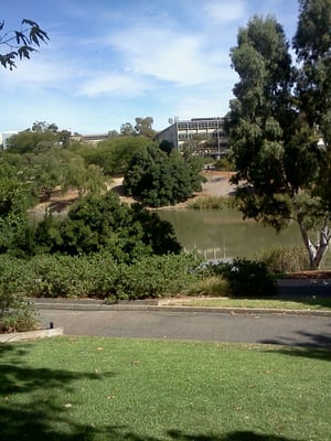 Flinders University by null