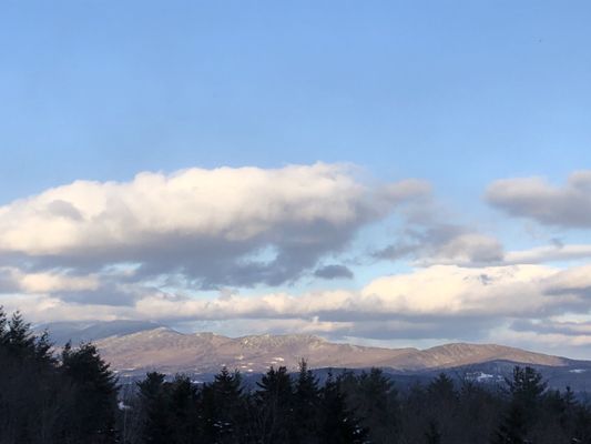 Moose Meadow Lodge & Treehouse by null