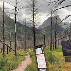 St. Mary Falls Trailhead - Beautiful scenery along the hike. Don't mind the distances....from here, St. Mary Falls was 1 mile away and Virginia Falls 1/2 mile further.