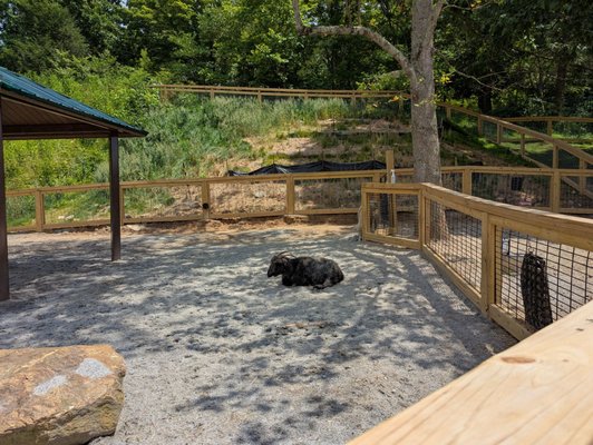 Western North Carolina Nature Center by null
