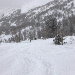 Ruby Mountain Heli-Ski