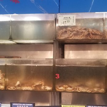 Kam Man Marketplace - Live crabs - International Grocery Near Me - Quincy, Massachusetts