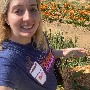 Texas-Tulips - A beautiful day! - Nurseries & Gardening Near Me - Pilot Point, Texas