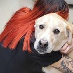 Family Pet Clinic - untitled