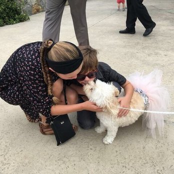 PoshPaws - Getting love from her fans! - Pet Sitting Near Me PoshPaws - Getting love from her fans! - Pet Sitting Near Me