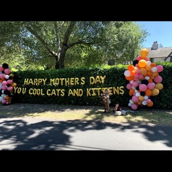 The Balloon Lady - Mother's Day balloons - Balloon Services Near Me - San Francisco, California The Balloon Lady - Mother's Day balloons - Balloon Services Near Me - San Francisco, California