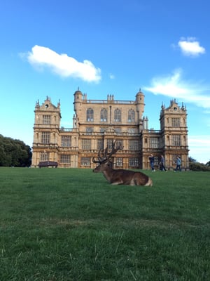 Wollaton Hall by null