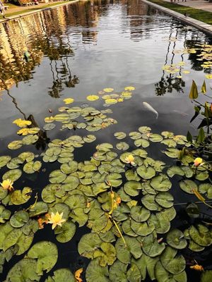 Hotel Z - A Staypineapple Hotel by null