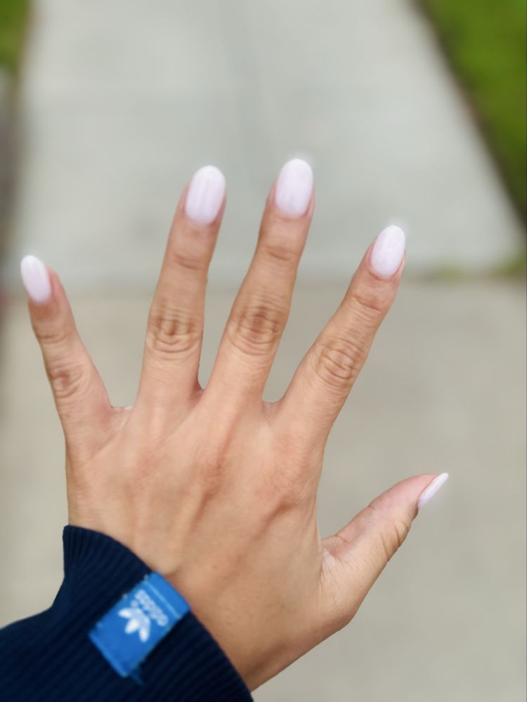 YB Professional Logo