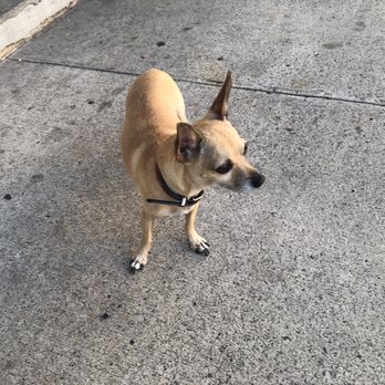 Hana Market - One of my friendly greeters - Grocery Near Me - Honolulu, Hawaii