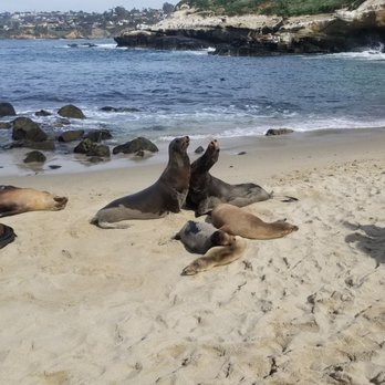 La Jolla Cove - Parks Near Me - La Jolla, California La Jolla Cove - Parks Near Me - La Jolla, California