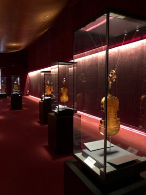 Museo del Violino by null
