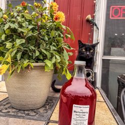 Rockridge Country Market