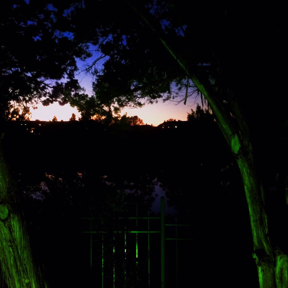 Roaring Fork - More twilight from the patio - New American Near Me - Austin, Texas Roaring Fork - More twilight from the patio - New American Near Me - Austin, Texas