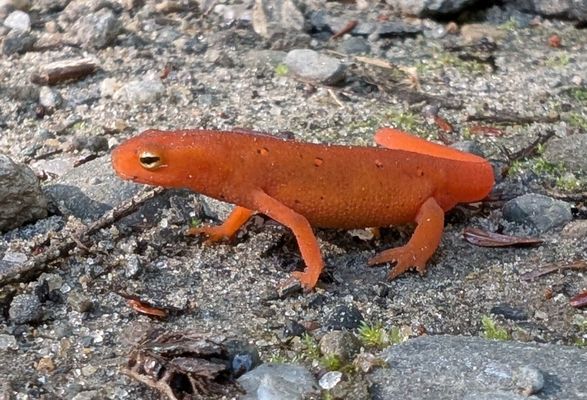 Billings Farm & Museum by null Billings Farm & Museum by null
