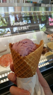 Scoop Du Jour Ice Creamery by null