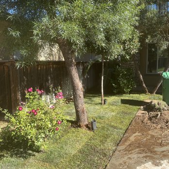 Modern Backcountry Solutions - Finished product of Sod install - Landscaping Near Me - Murrieta, California Modern Backcountry Solutions - Finished product of Sod install - Landscaping Near Me - Murrieta, California