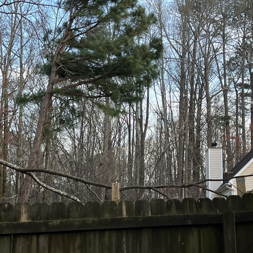 360 South Landscape Design  - Same trimming on neighbors fence - Landscaping Near Me