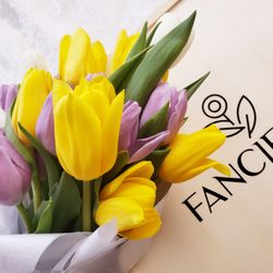 Fancify