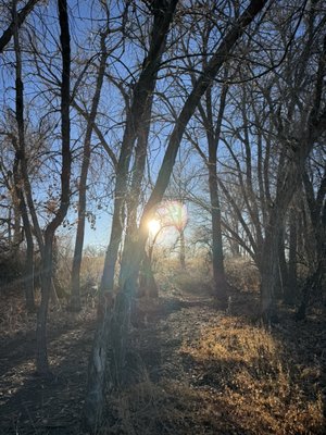 Cherry Creek State Park by null