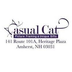 Casual Cat