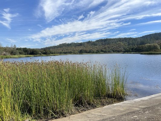 Trione-Annadel State Park by null