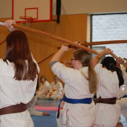 Aiki Canada - Sword (Bokken) Practice