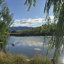 Paschal Winery - The pond