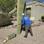Photo of The Falcons Landscaping