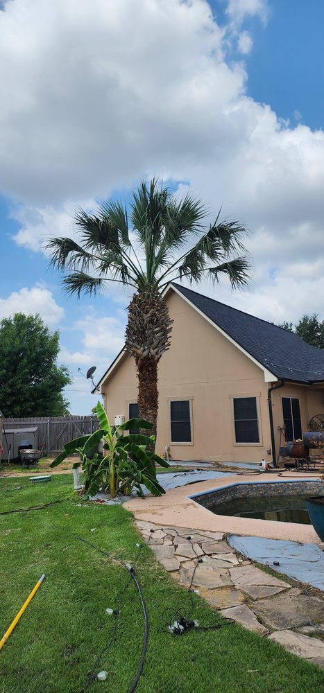 Slide of Gladiator Tree Experts & Landscaping