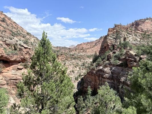 Observation Point by null