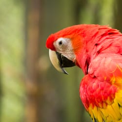 ZOO Zlín