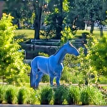 Gatton Park - Lexington - Parks Near Me - Lexington, Kentucky Gatton Park - Lexington - Parks Near Me - Lexington, Kentucky