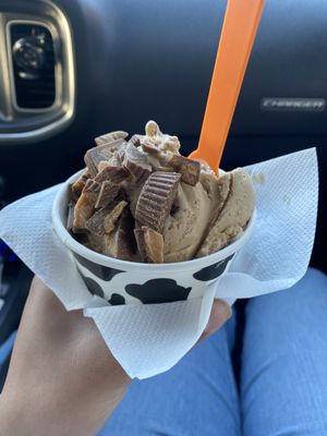 Wholly Cow Ice Cream and Coffee by null