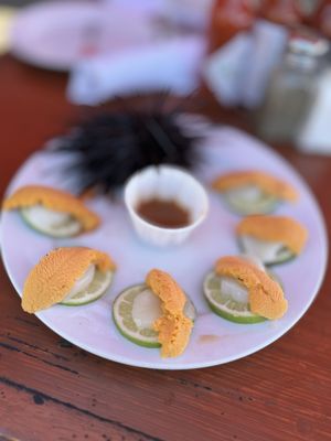 Santa Barbara Shellfish Company by null