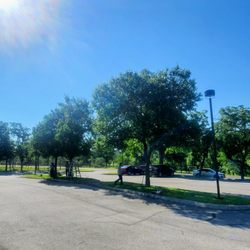 Rainfall Lawn Services - Shaping and trimming trees
