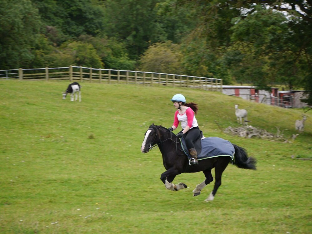 CLACK MILL RIDING STABLES Updated September 2024 20 Photos Clack