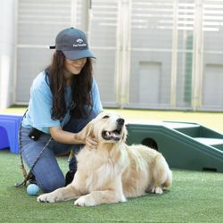 Pet Paradise St. Johns at WGV