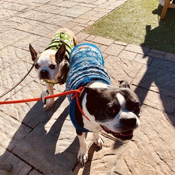 Sage Kitchen at Anderson's Virginia Beach - Pet-friendly outdoor patio! - Sandwiches Near Me - Virginia Beach, Virginia Sage Kitchen at Anderson's Virginia Beach - Pet-friendly outdoor patio! - Sandwiches Near Me - Virginia Beach, Virginia