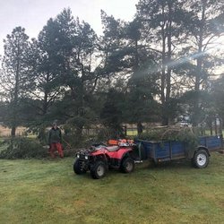 Bizy Boys Lawn and Yard Care