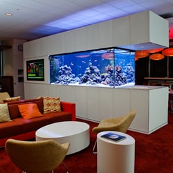 Capital Aquariums