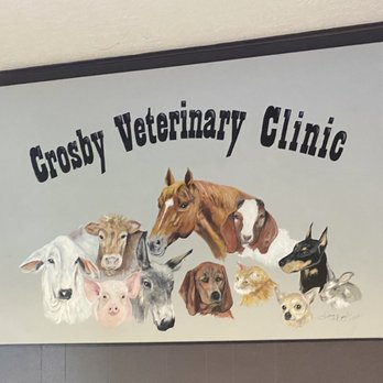 VETERINARY BOARD 2021年4月号( No.24) 6 36 Ysvet0504 Medical Pet Clinic Folding Veterinary Surgical