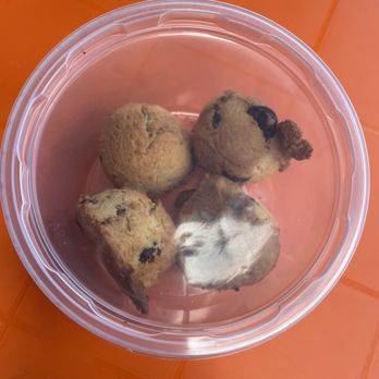 Local Joe - Cookies - Coffee & Tea Near Me - Honolulu, Hawaii Local Joe - Cookies - Coffee & Tea Near Me - Honolulu, Hawaii