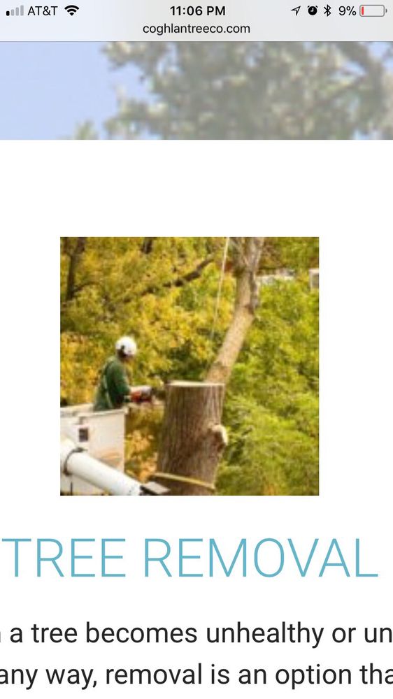 Coghlan Tree Company - tree service in Newington, CT