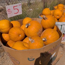 Bonsall Farms Farmer's Market