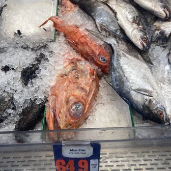 Tri Ocean - a display of fish on ice - Seafood Markets Near Me - Denver, Colorado Tri Ocean - a display of fish on ice - Seafood Markets Near Me - Denver, Colorado