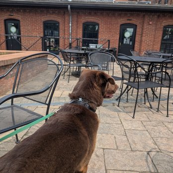 Idiom Brewing - Outside & Bailey - Breweries Near Me - Frederick, Maryland