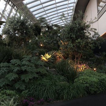 Sky Garden - Landmarks & Historical Buildings Near Me - London, XGL Sky Garden - Landmarks & Historical Buildings Near Me - London, XGL
